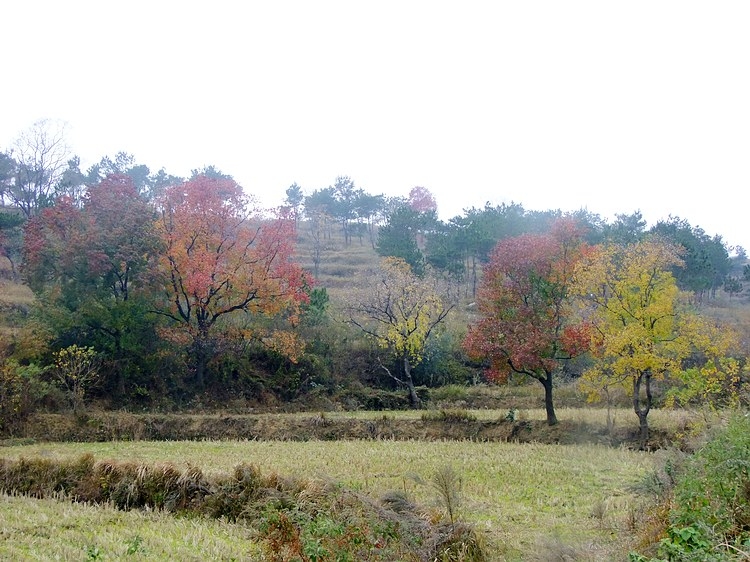 DSCF2225.JPG