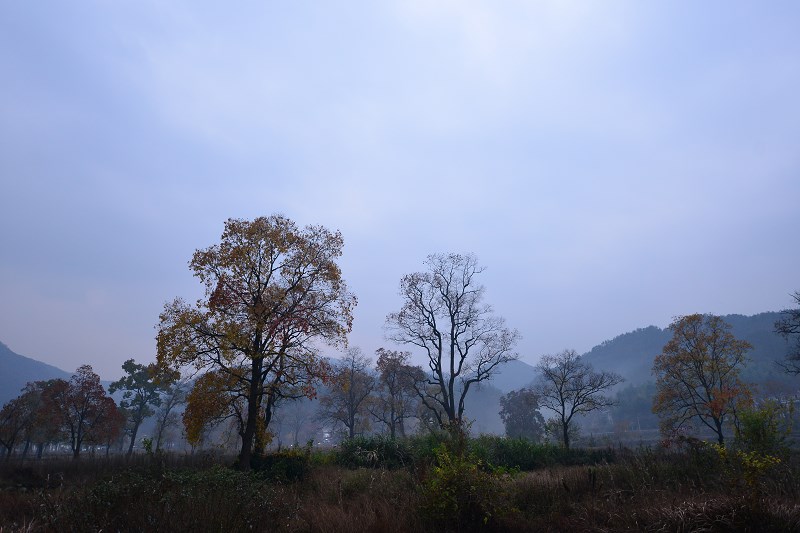 a5.jpg