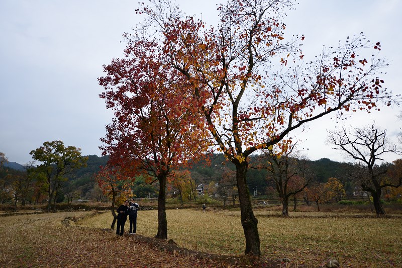 a7.jpg