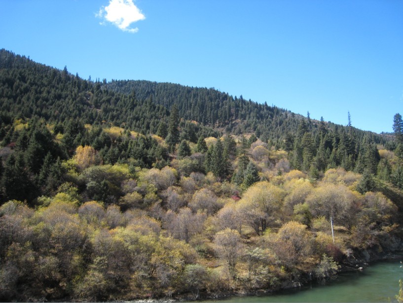 QQͼƬ20131115002943.jpg