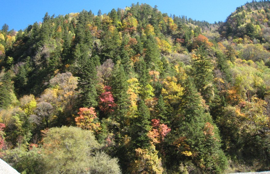 QQͼƬ20131115010723.jpg