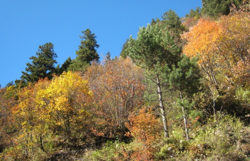 QQͼƬ20131115010703.jpg