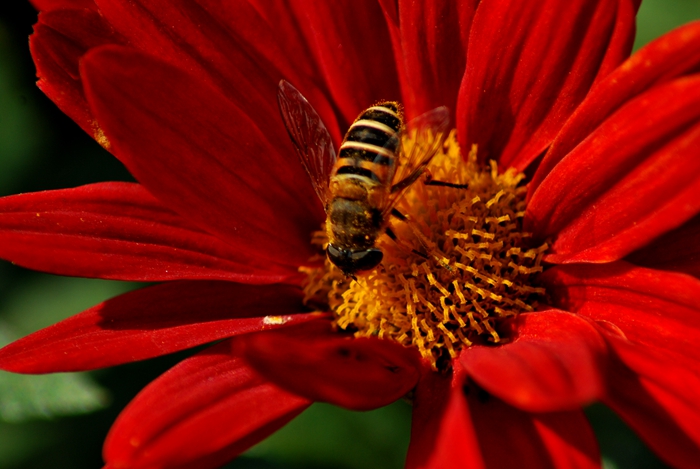 DSC_1334.JPG