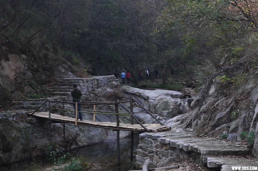 P1140653.JPG