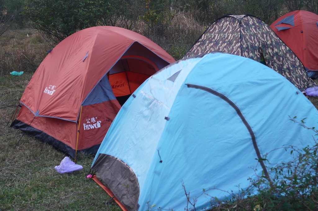 P1150008.JPG