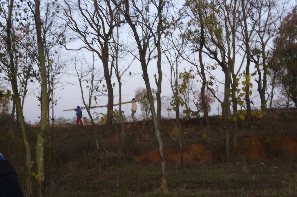 P1150014.JPG