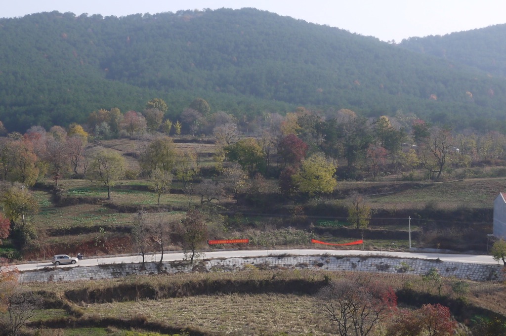 P1150059.JPG
