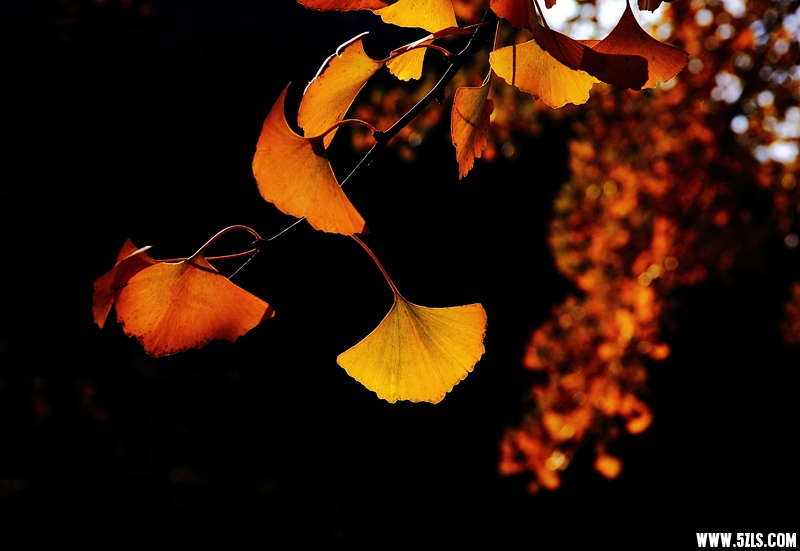 6U0B8803.JPG