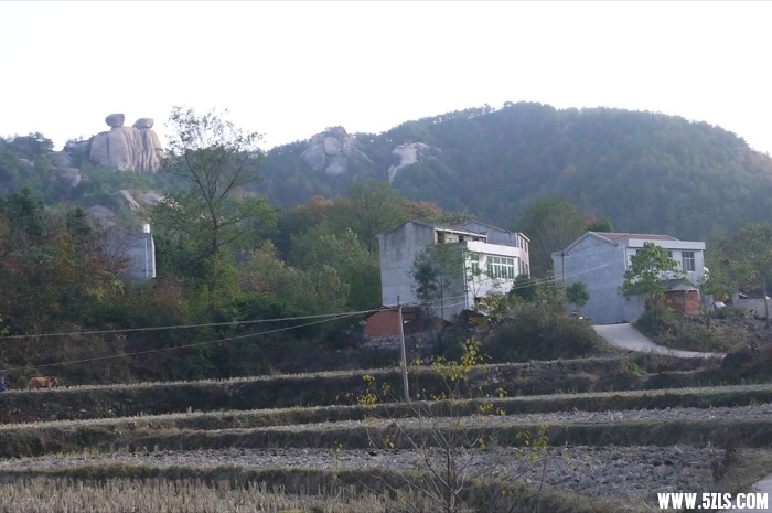 P1150289.JPG