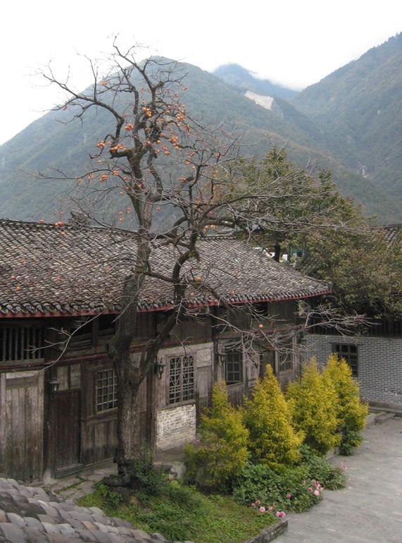 QQͼƬ20131120112007.jpg