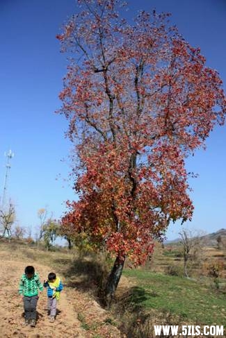 clip_image007.jpg