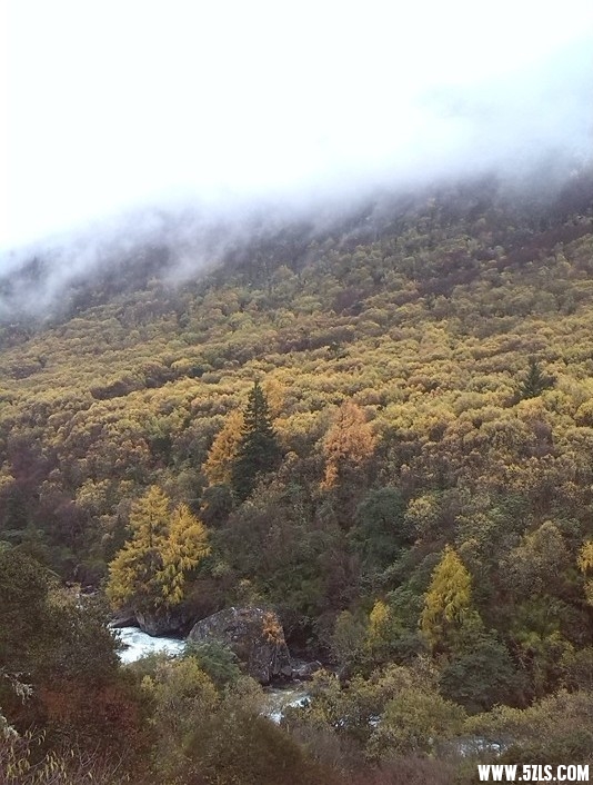 QQͼƬ20131123175130.jpg