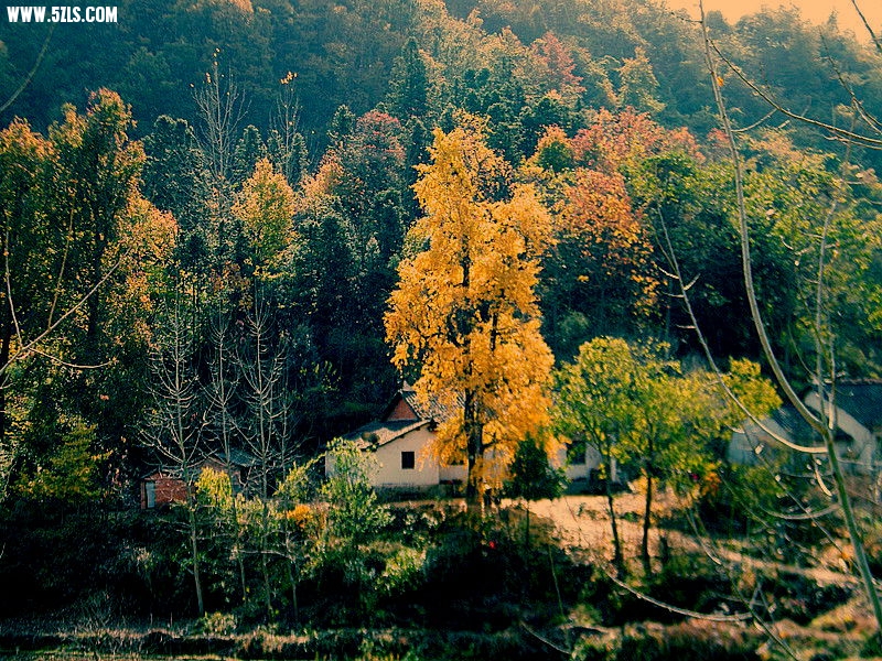 DSCF0021__.jpg