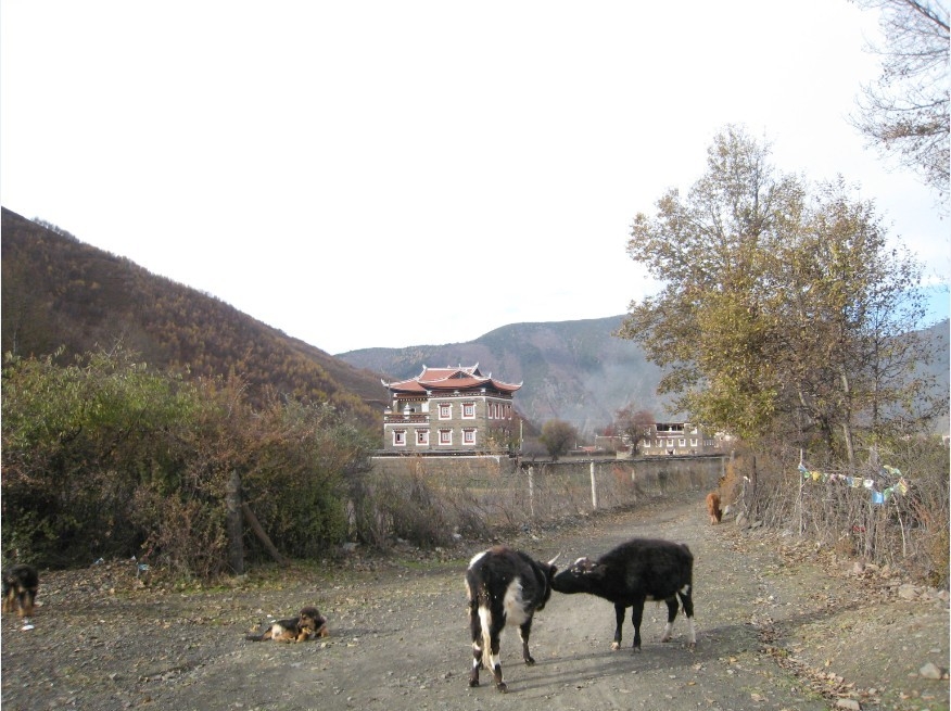 QQͼƬ20131126150736.jpg