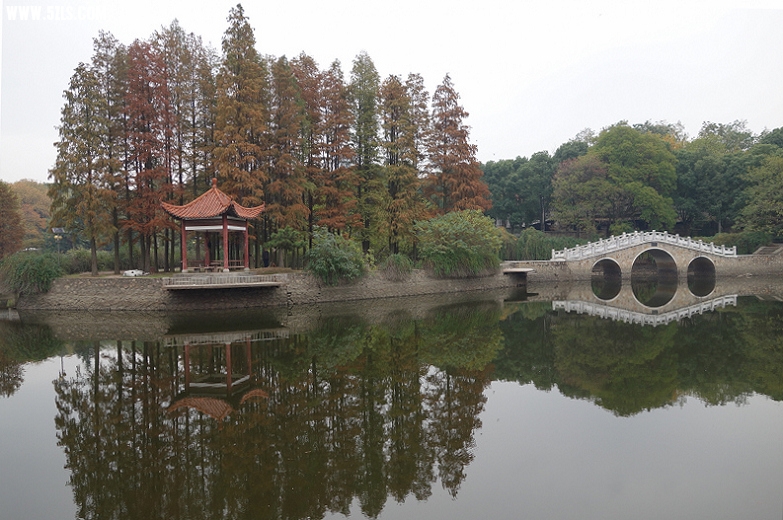 2.DSC00140.JPG
