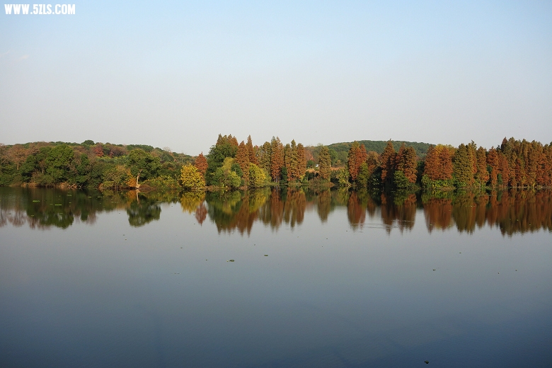 15.DSC00081.JPG