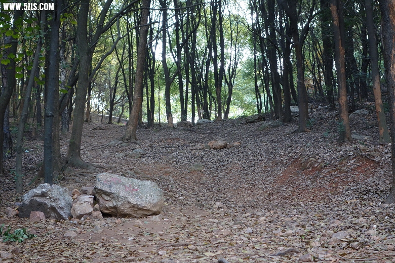 20.DSC00102.JPG