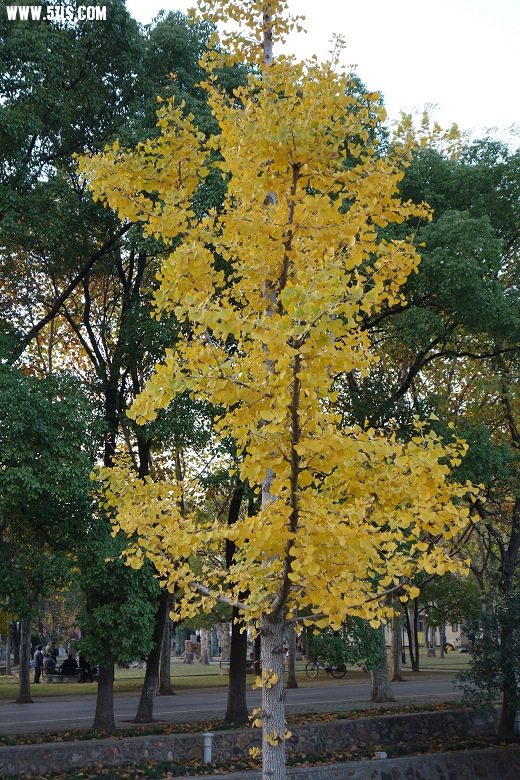 23.DSC00113.JPG