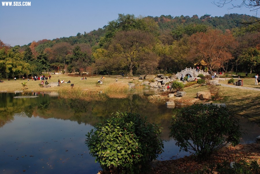DSC_0204-f.jpg