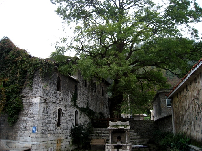 IMG_1633.JPG