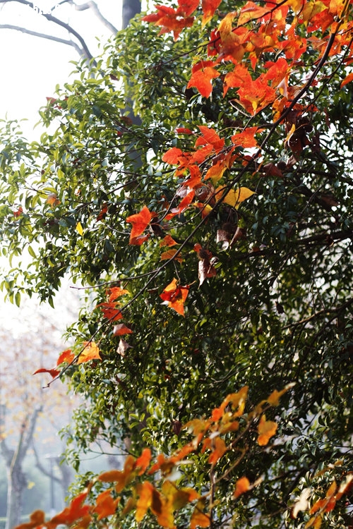 _MG_5627_.jpg
