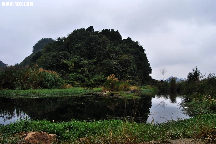 DSC_0194.JPG