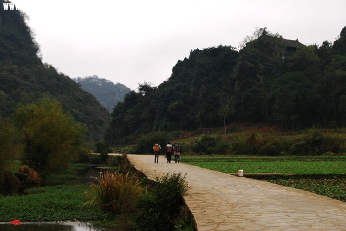 DSC_0192.JPG