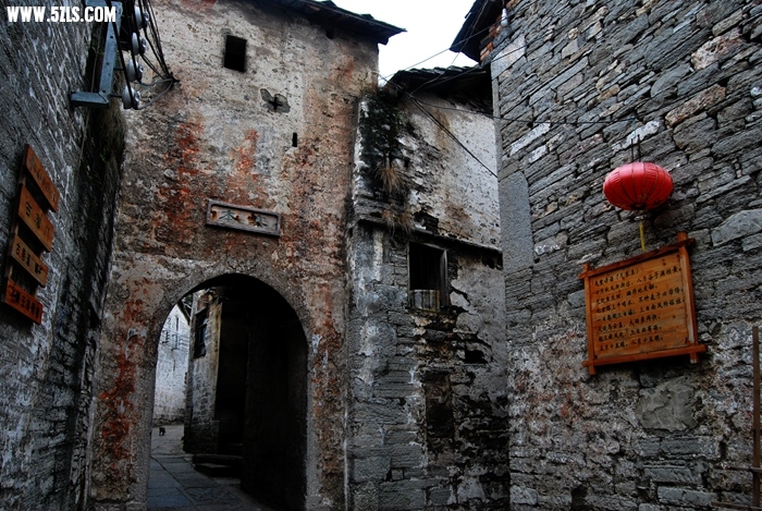 DSC_0253.JPG