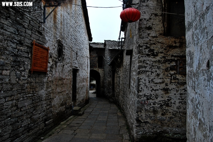 DSC_0241.JPG