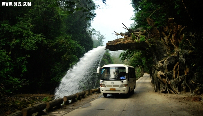 DSC_0625.JPG