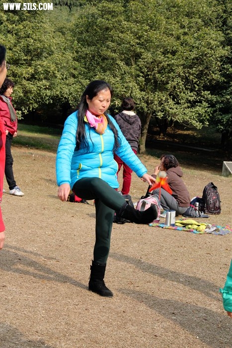 12006.jpg