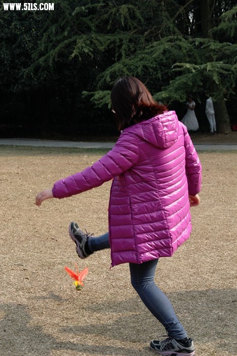 12008.jpg