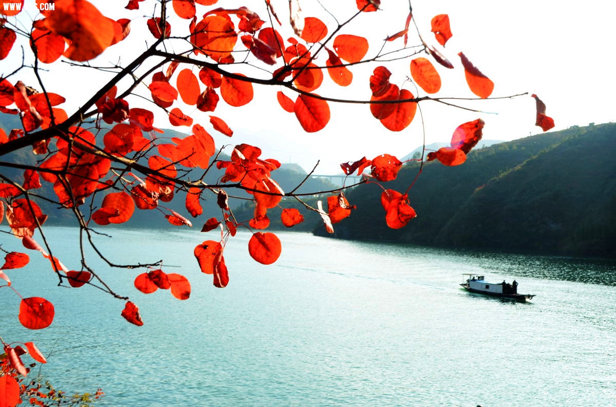 ɽҶ20.jpg