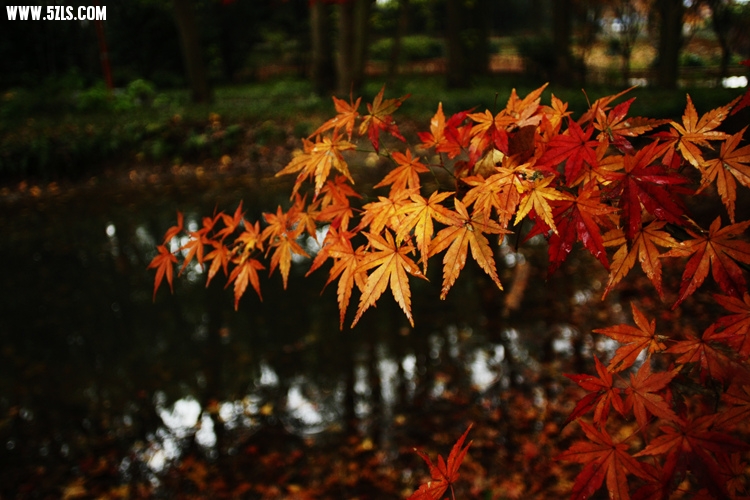 _MG_5792_.jpg