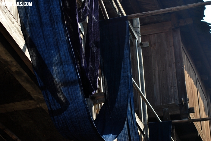 DSC_0891.JPG