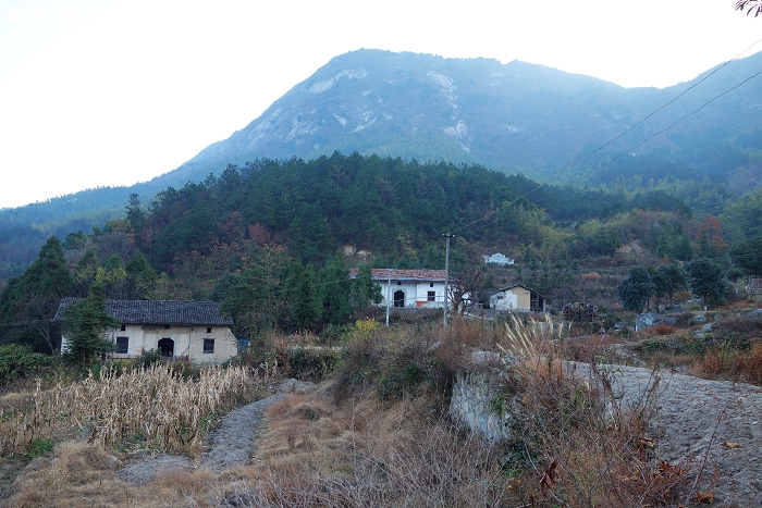 图13  相思山区田园景致.jpg