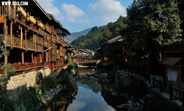 DSC_1004.JPG