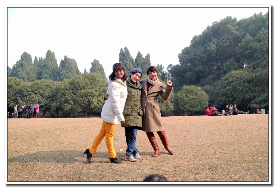 12105.jpg