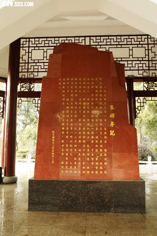 _MG_5845_.jpg