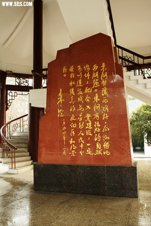 _MG_5846_.jpg