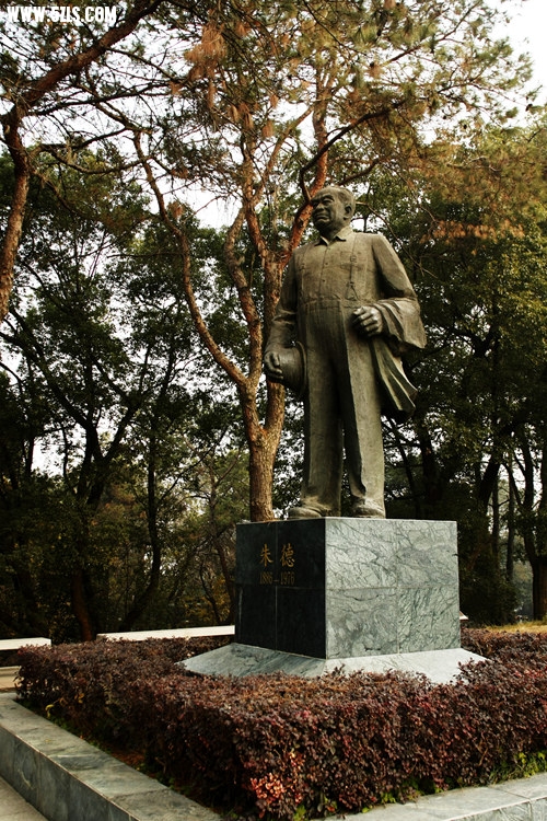 _MG_5847_.jpg