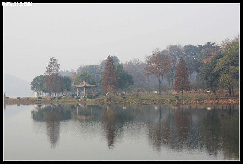 conew_img_4870.jpg