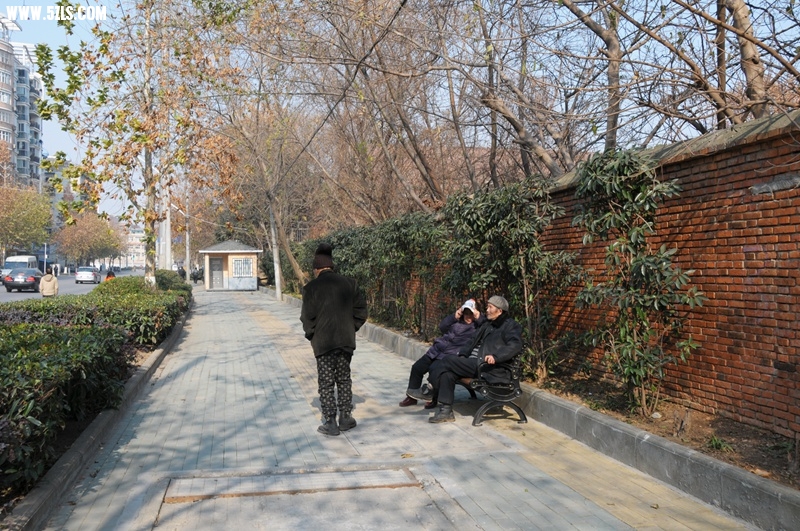 DSC_6095.jpg