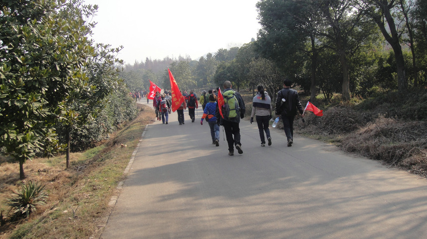 dsc08765.jpg