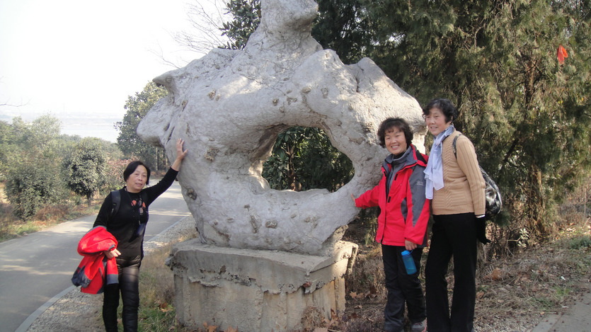 dsc08766.jpg