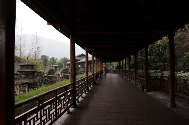 img_6732.jpg