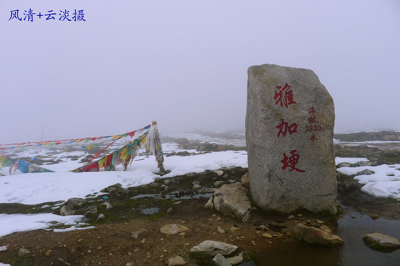 p1020825.jpg