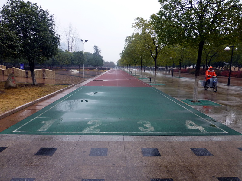 p1160960.jpg