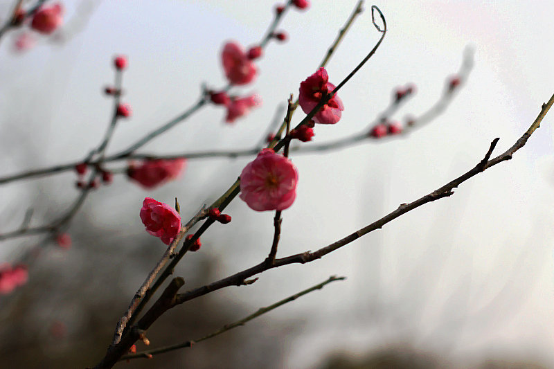2014112ͽ 079.jpg