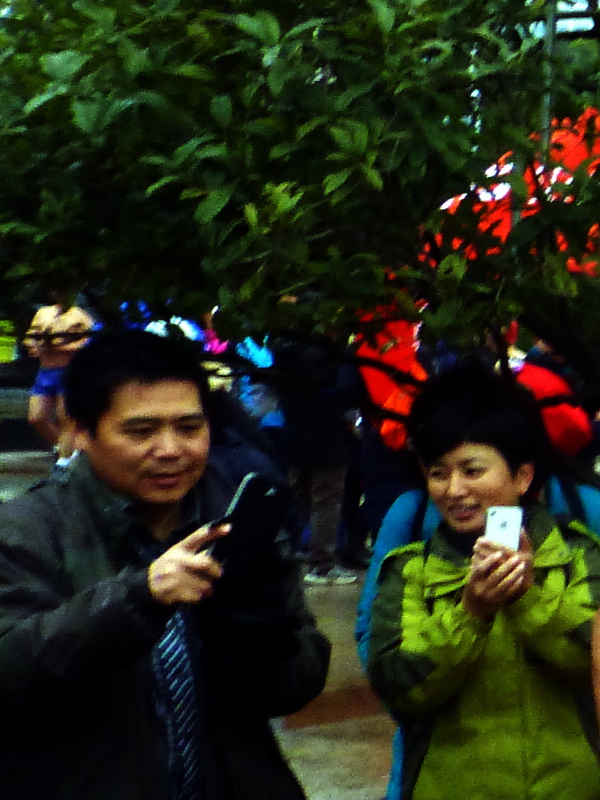 p1170019.jpg